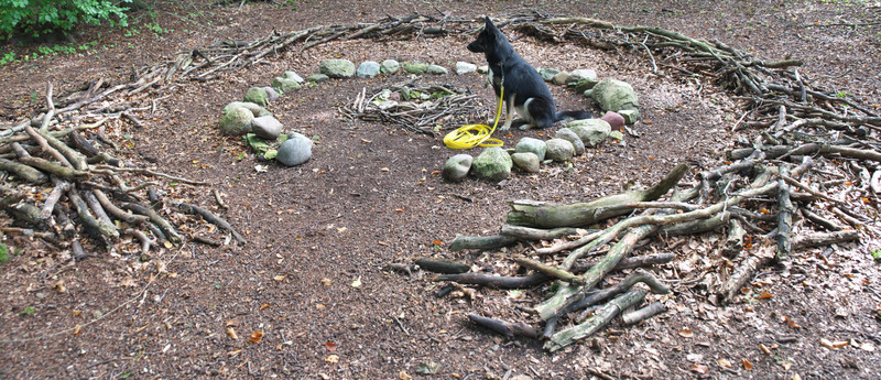 DSC_1794.jpg
