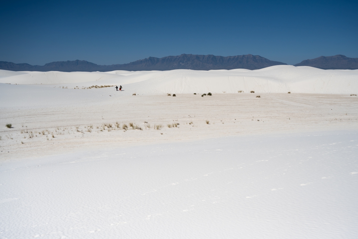 DSC_1799.jpg