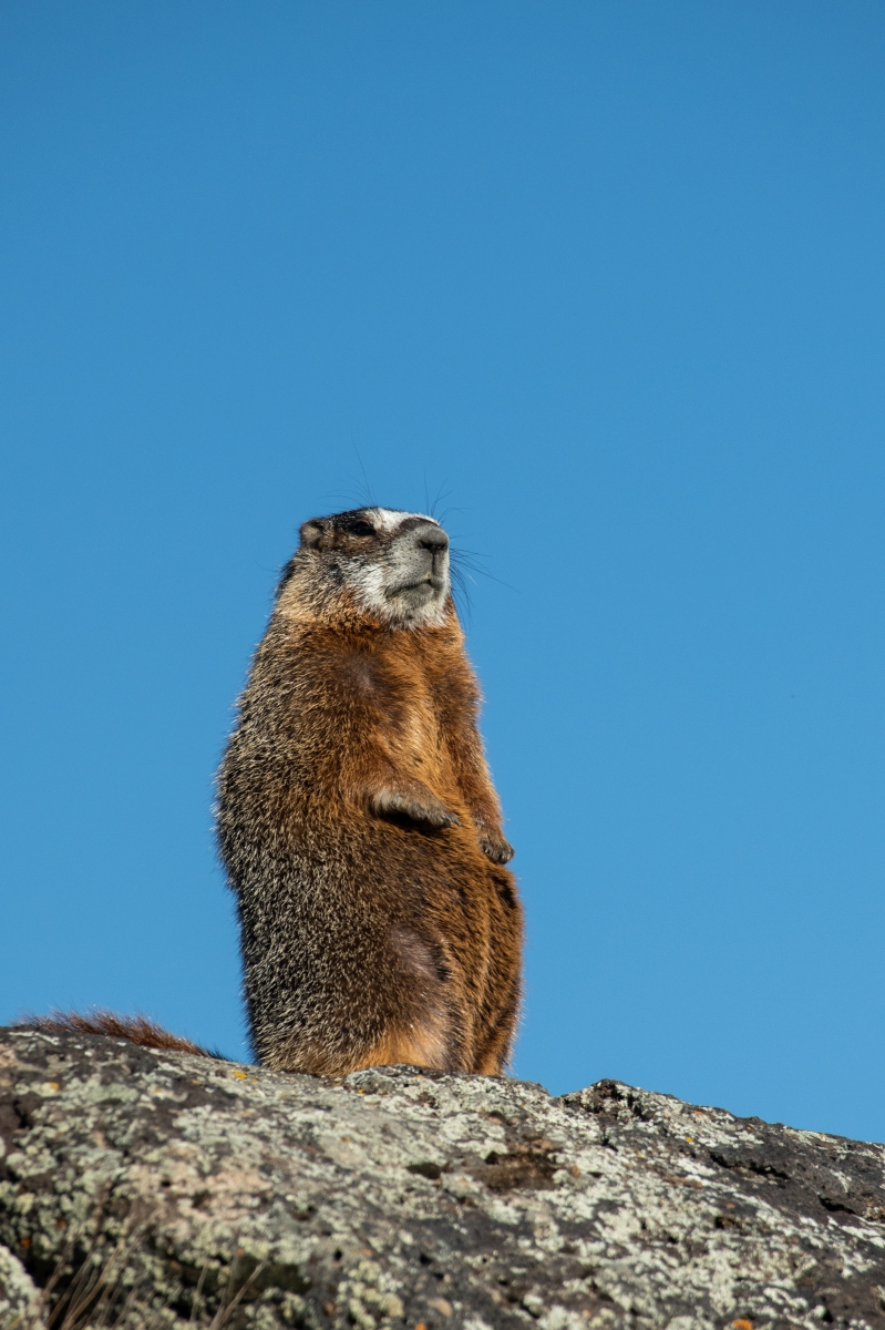 DSC_1801.jpg