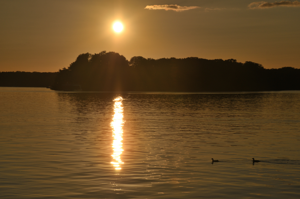 DSC_1802.JPG