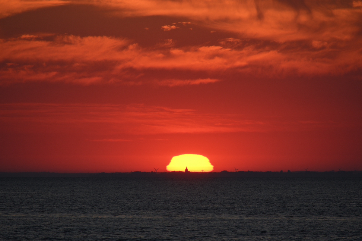 DSC_1806.JPG
