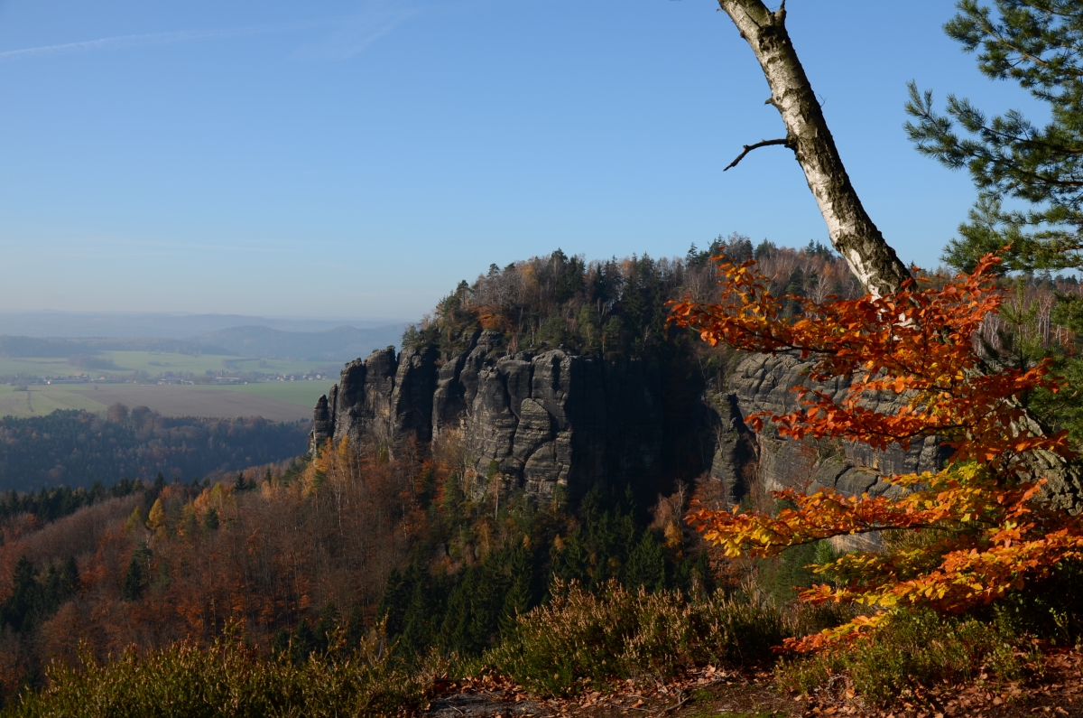 DSC_1811n.JPG