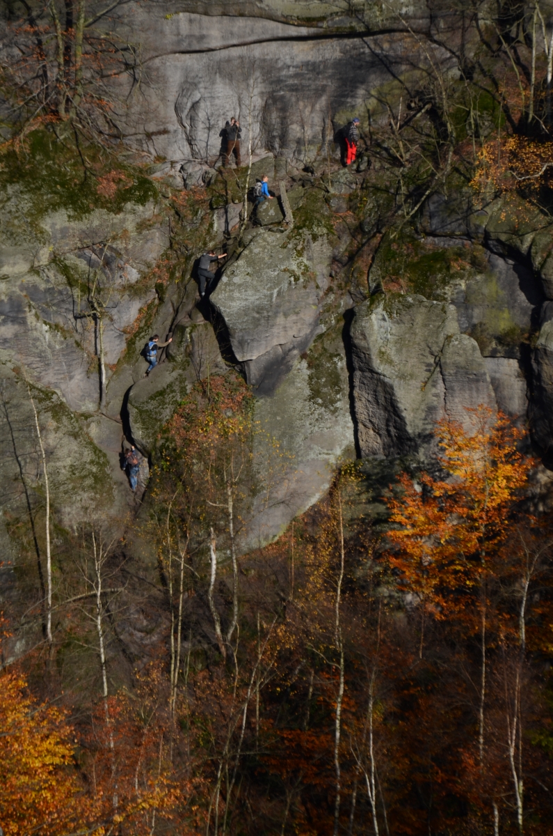 DSC_1816n.JPG