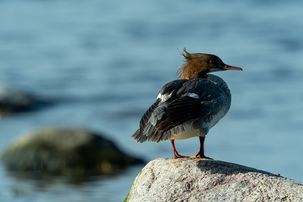 DSC_1821.jpg