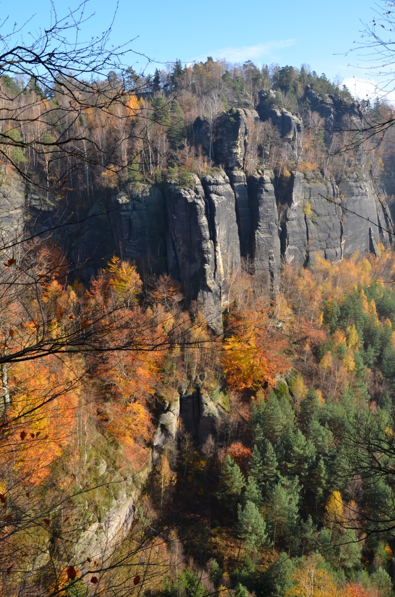 DSC_1824n.JPG