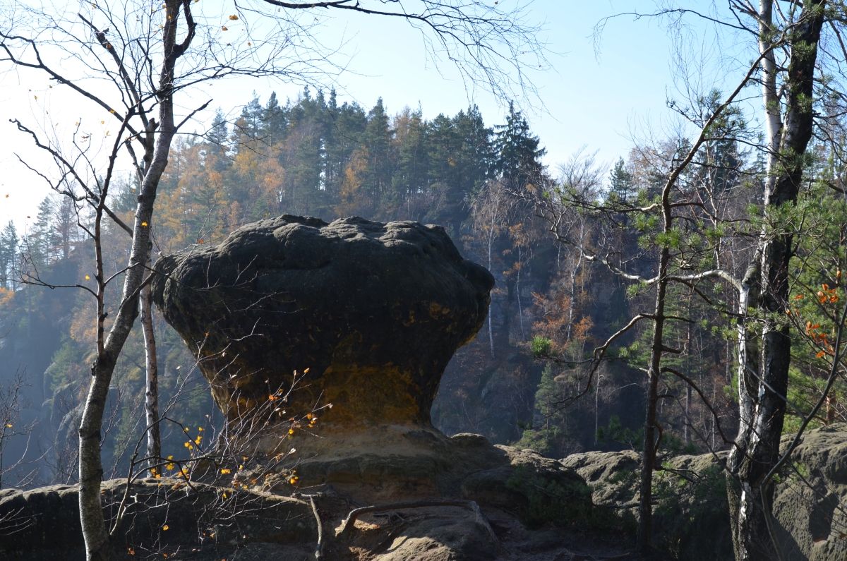 DSC_1832n.JPG