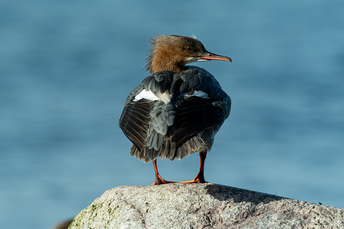 DSC_1838.jpg