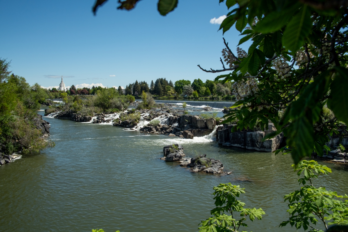 DSC_1839.jpg