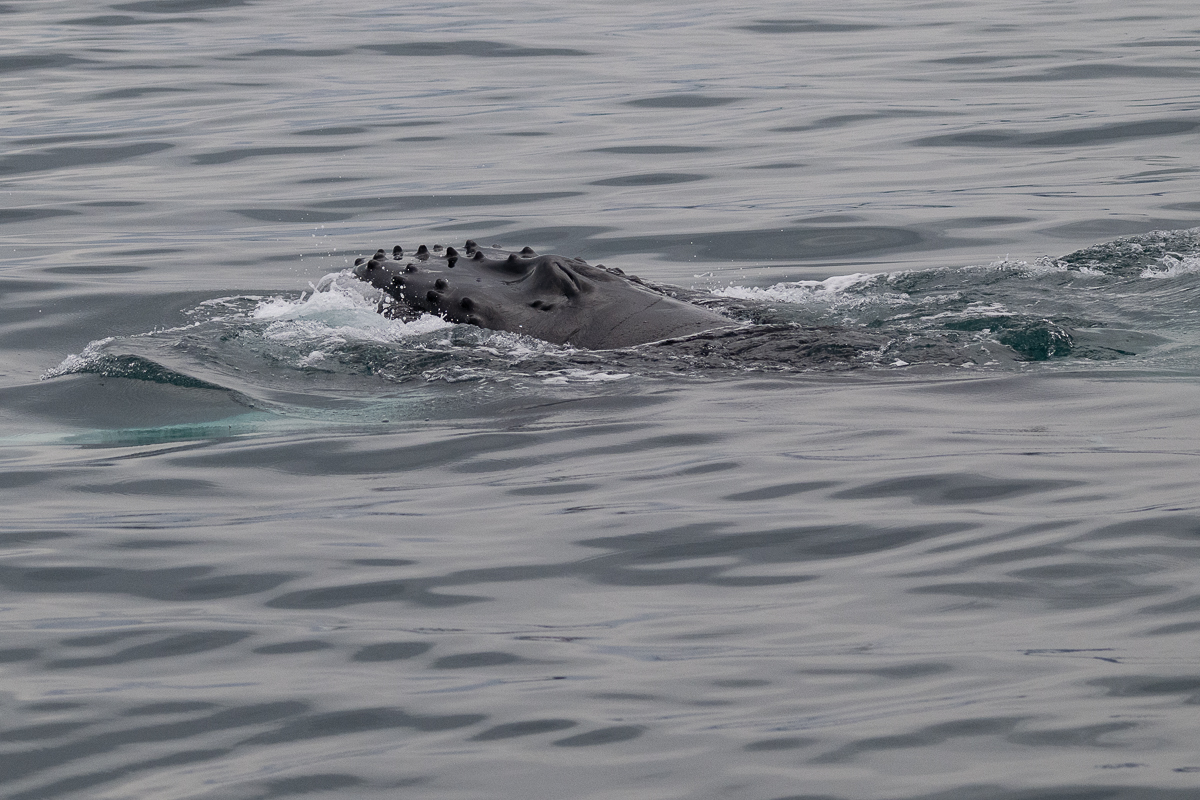 DSC_1840.jpg