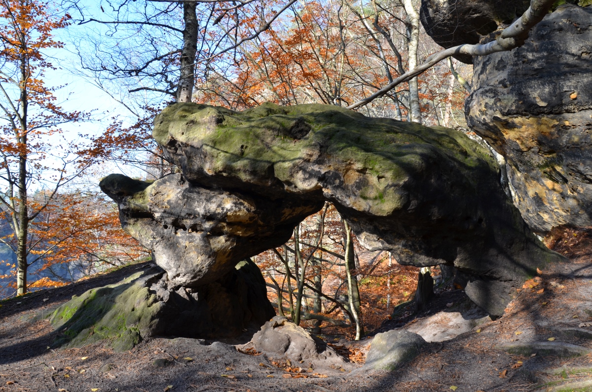 DSC_1861n.JPG