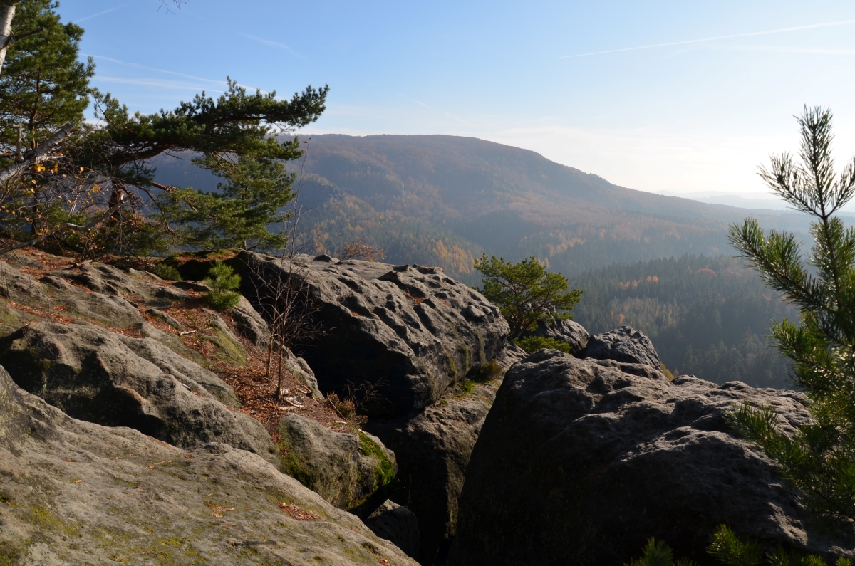 DSC_1866n.JPG