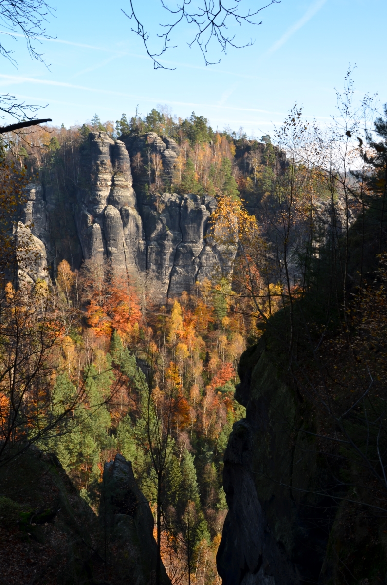 DSC_1876n.JPG