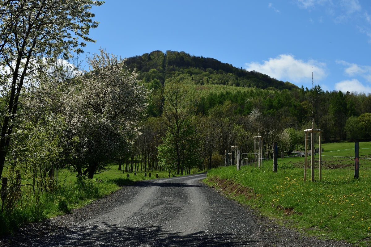 DSC_1879_00001n.jpg