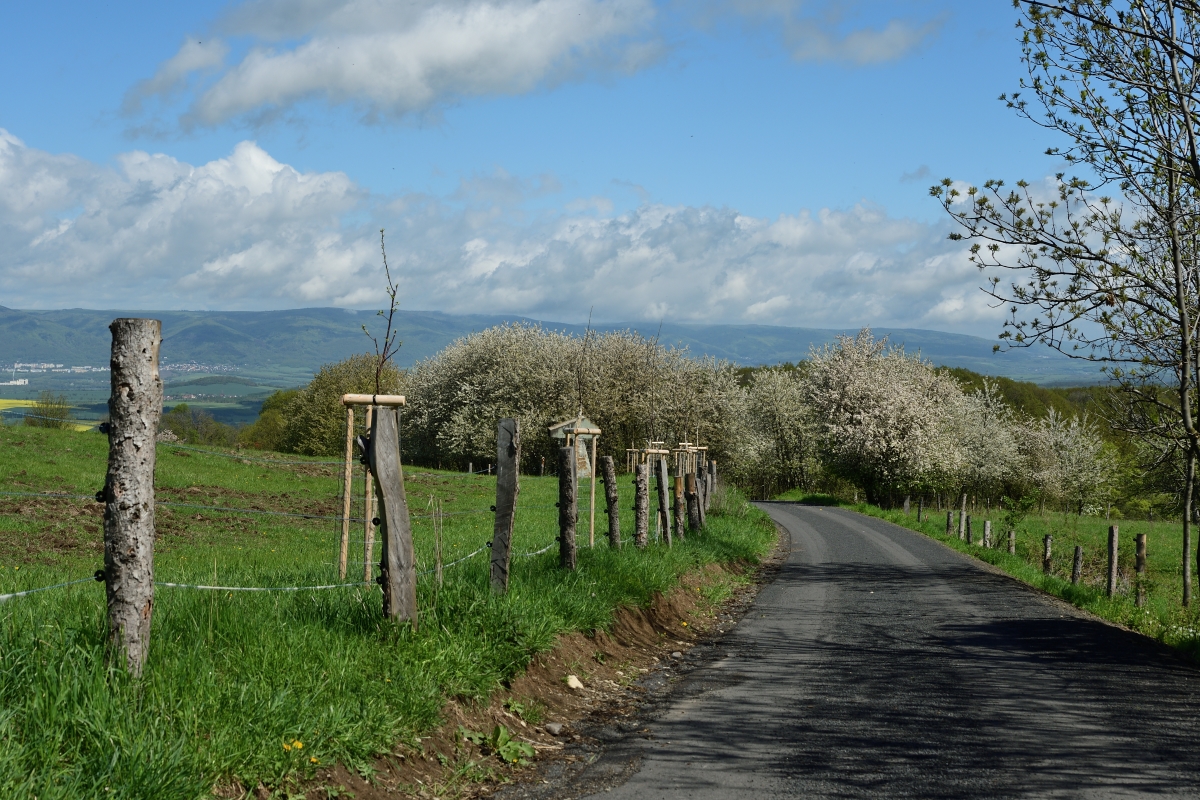 DSC_1883_00001_01n.jpg