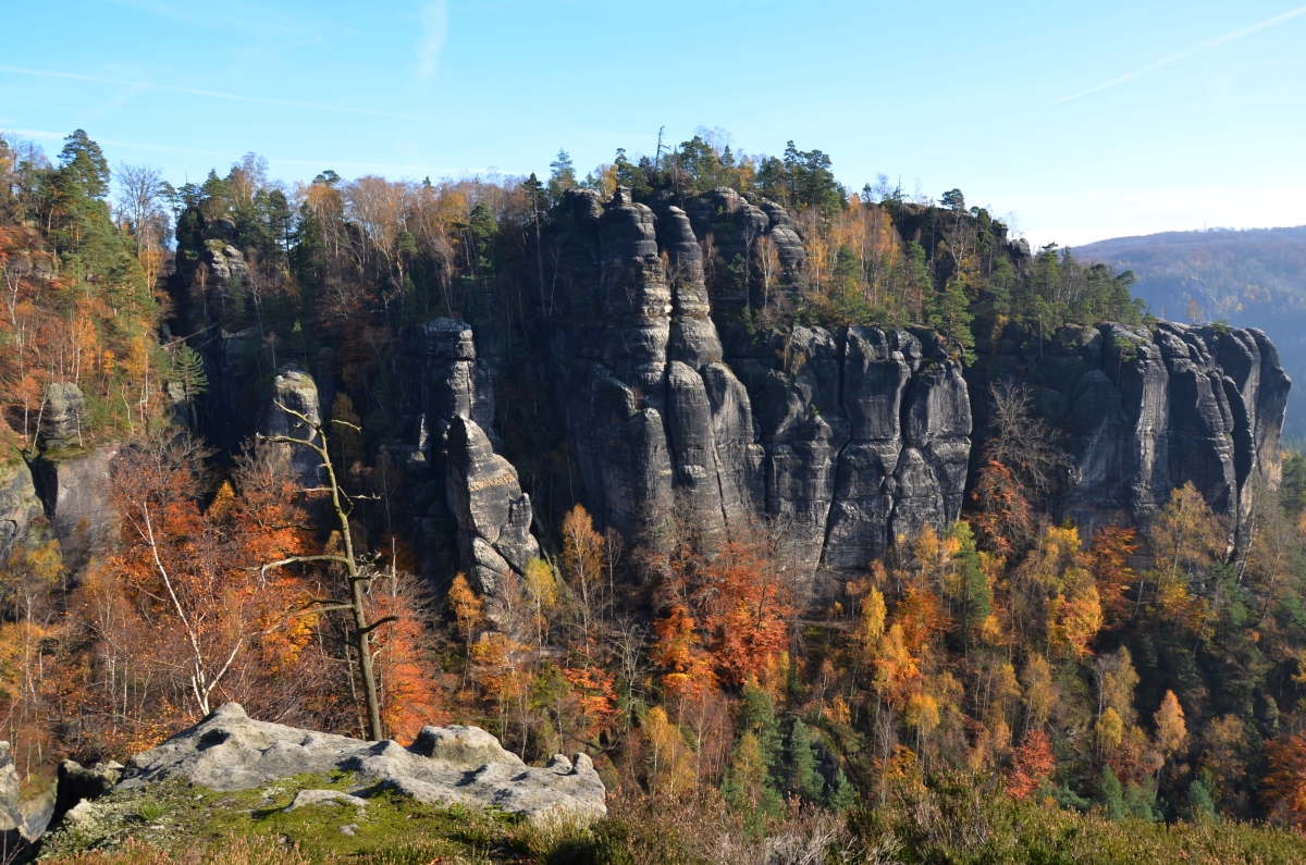 DSC_1886-1n.JPG