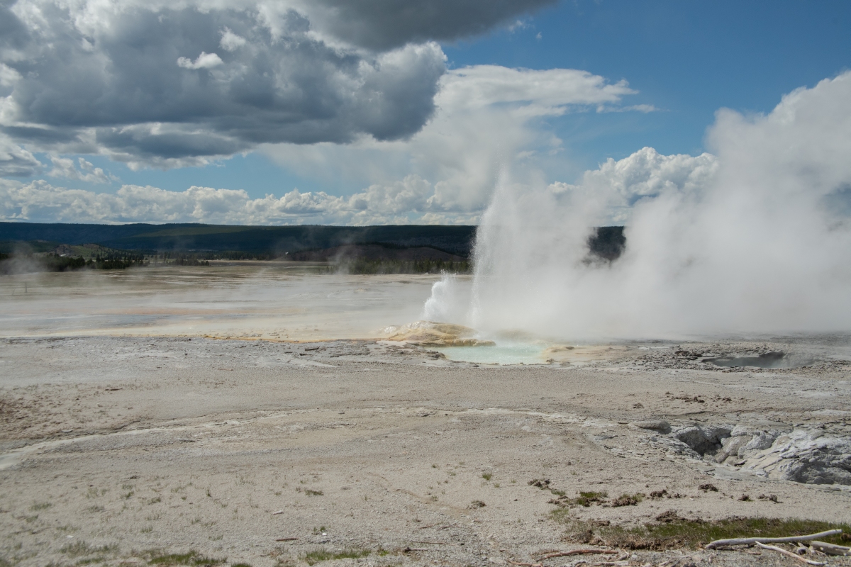 DSC_1887.jpg