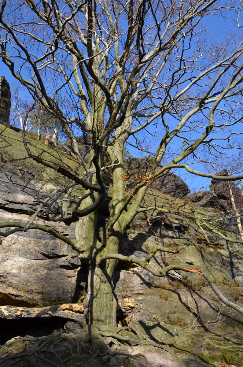 DSC_1892n.JPG