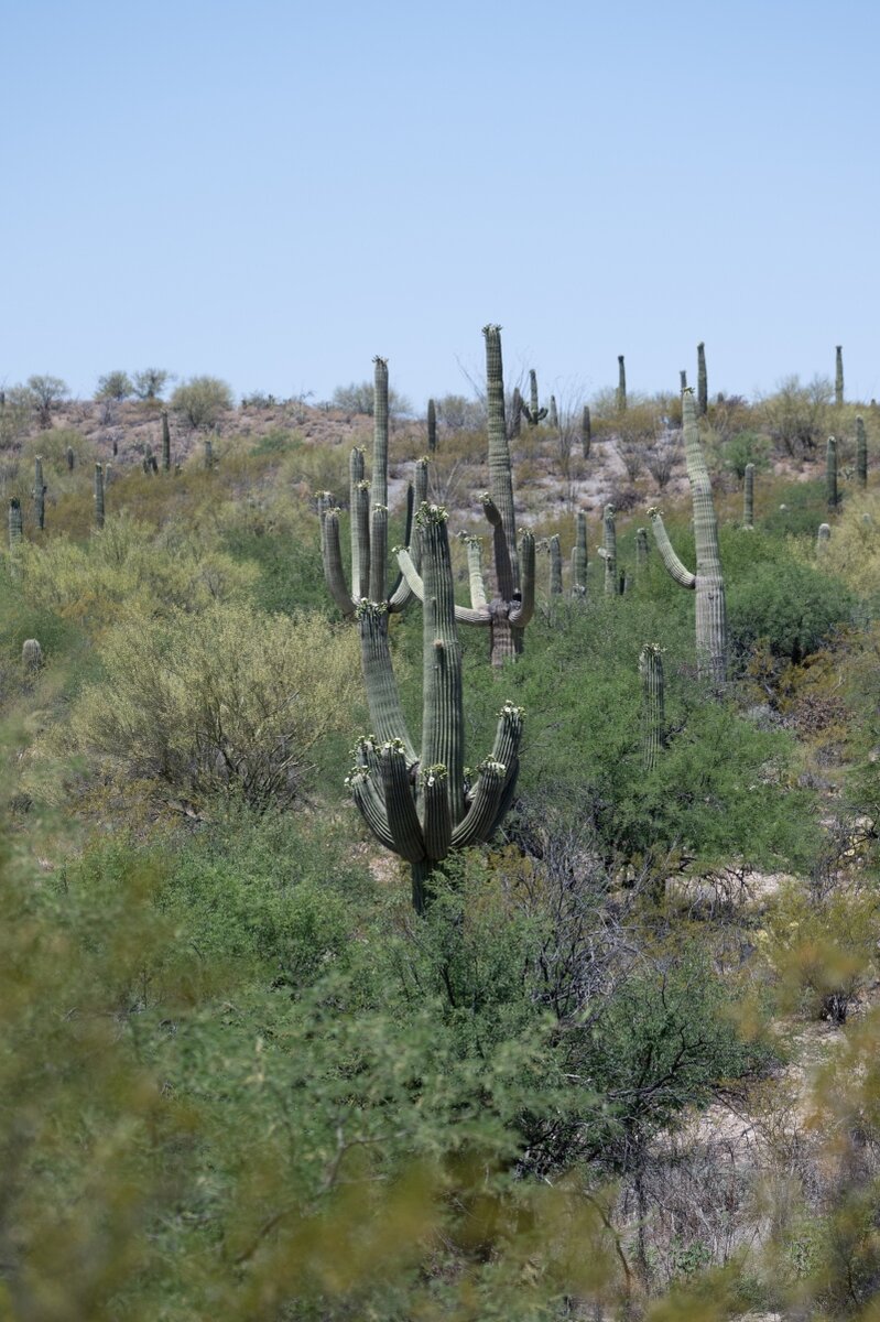 DSC_1906.jpg