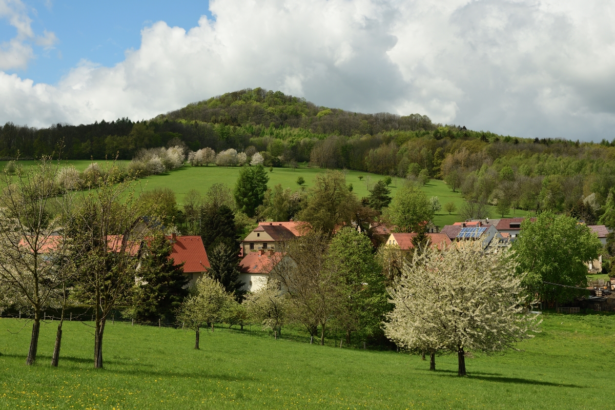 DSC_1908_00001n.jpg
