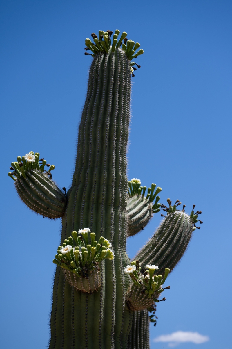 DSC_1909.jpg
