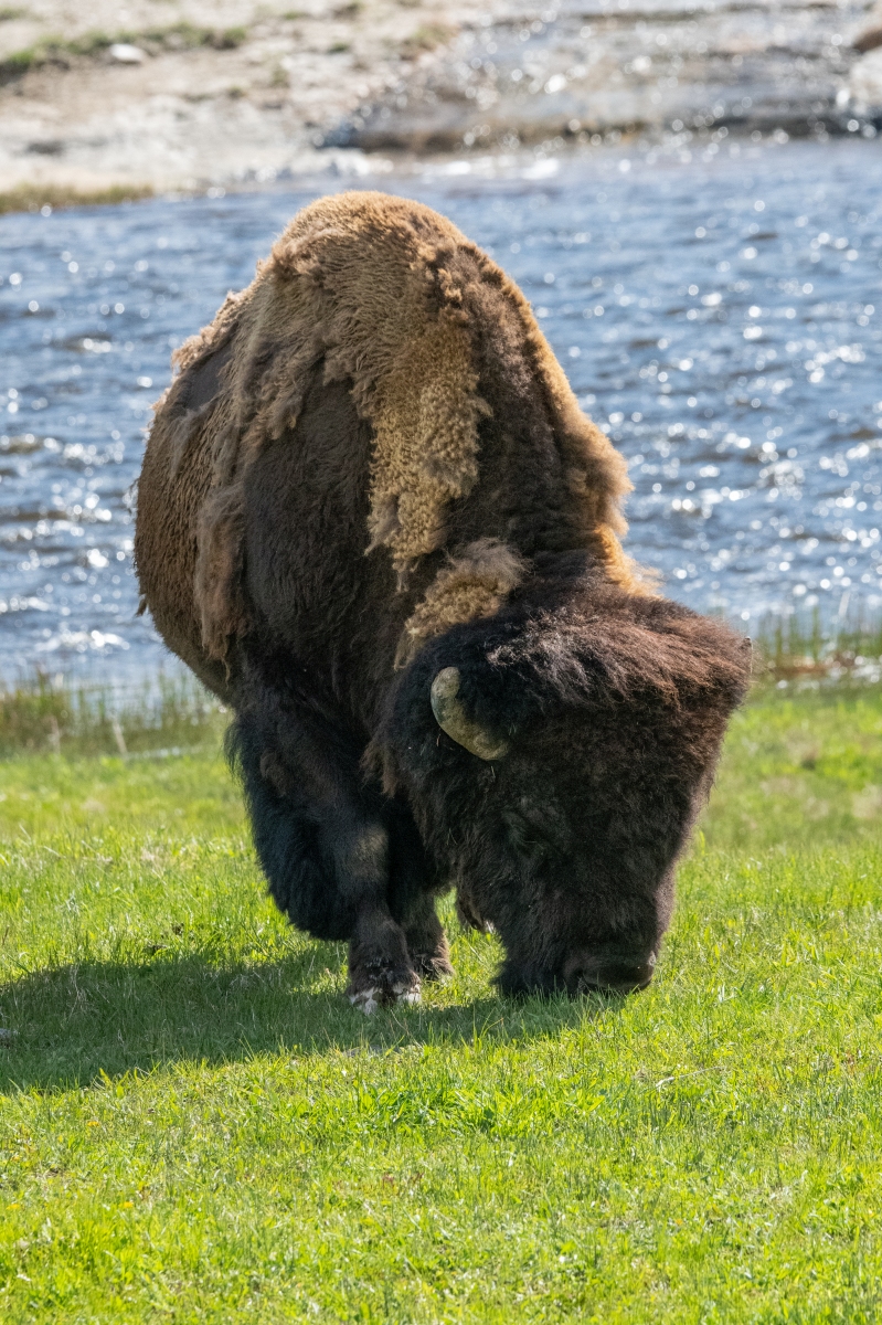 DSC_1911.jpg