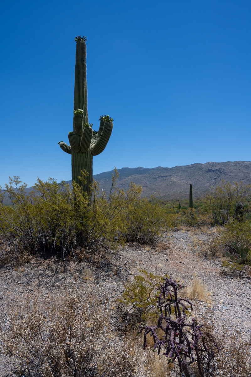 DSC_1912.jpg
