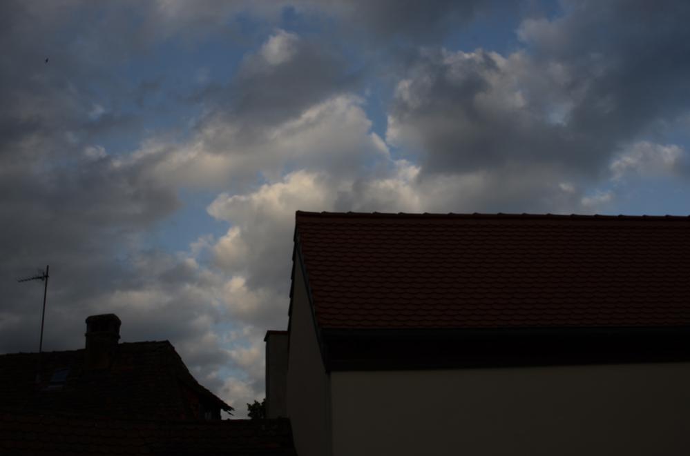 DSC_1925