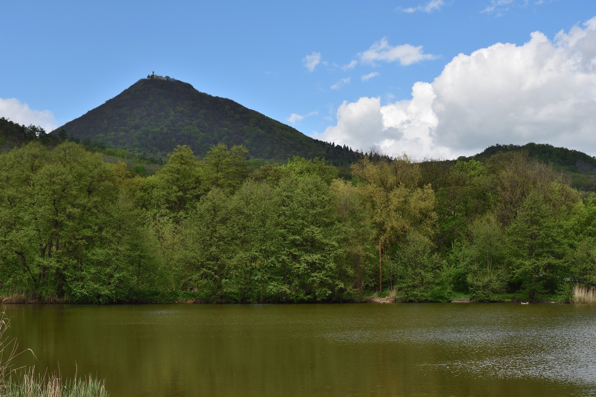 DSC_1932_00001n.jpg
