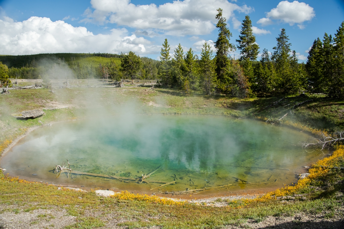 DSC_1936.jpg