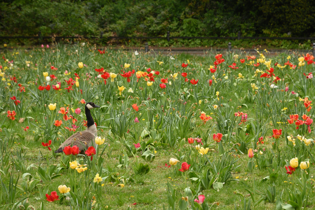 DSC_1936.JPG