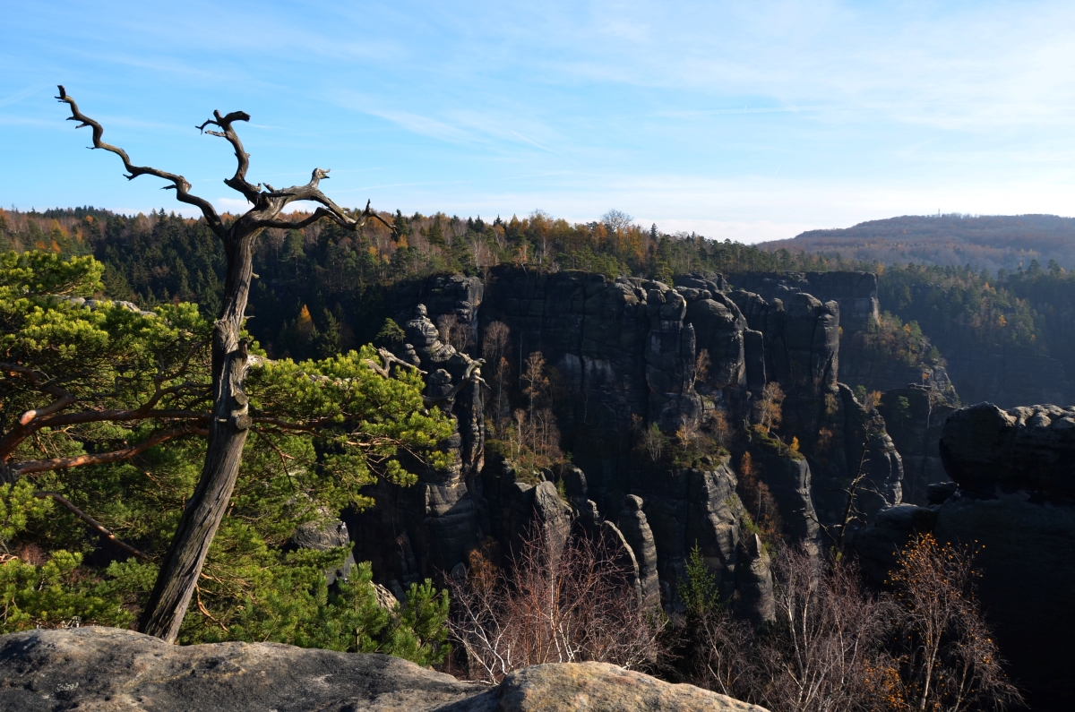 DSC_1941-1n.JPG