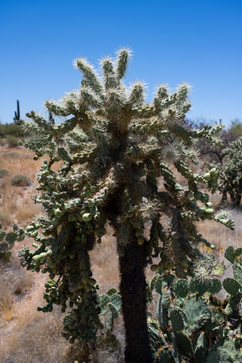 DSC_1944.jpg