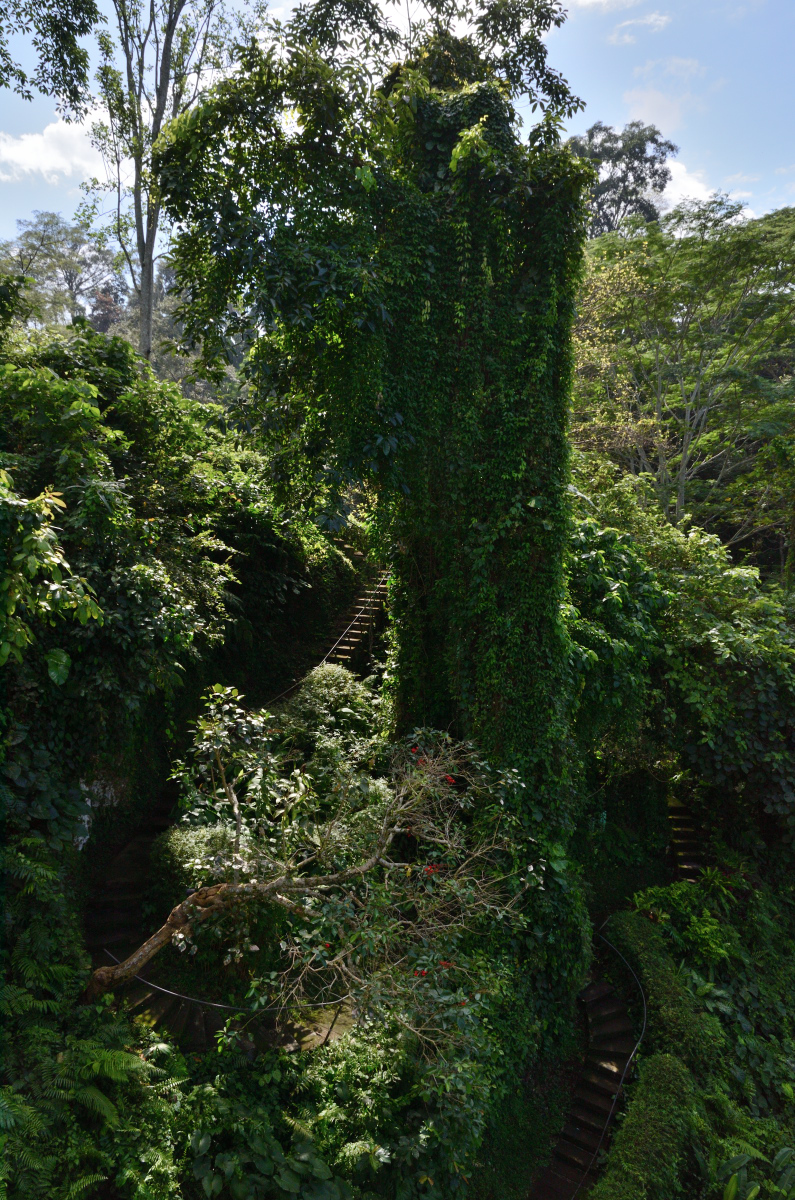 DSC_1954.JPG