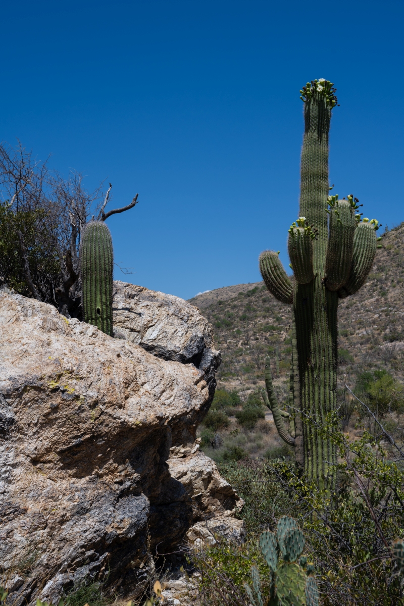 DSC_1956.jpg