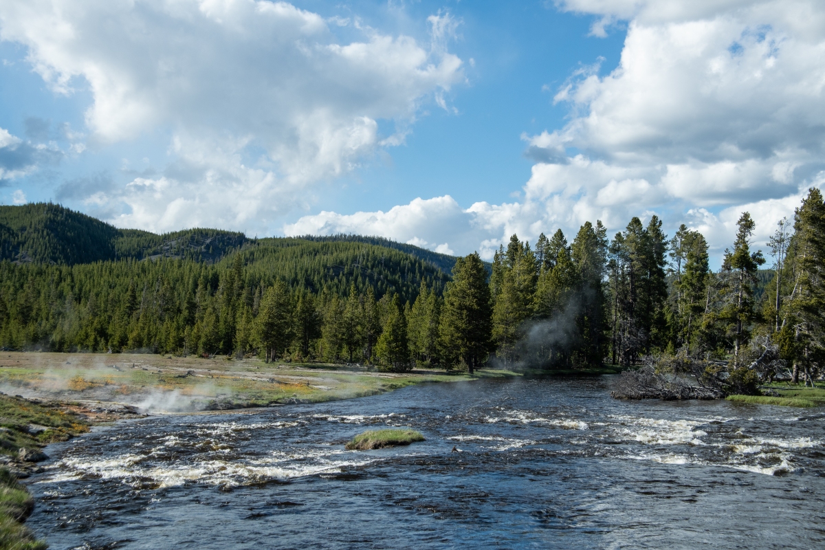 DSC_1973.jpg