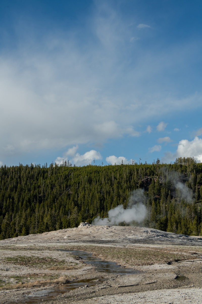 DSC_1974.jpg
