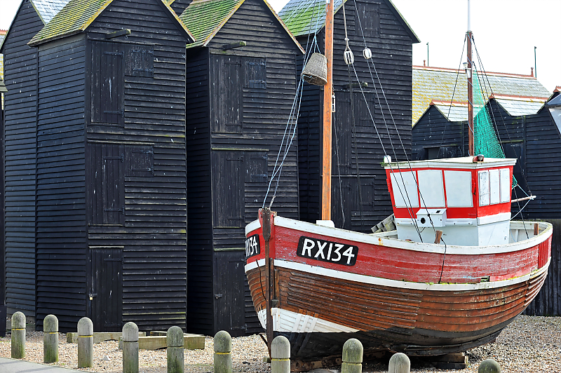 DSC_1975.jpg