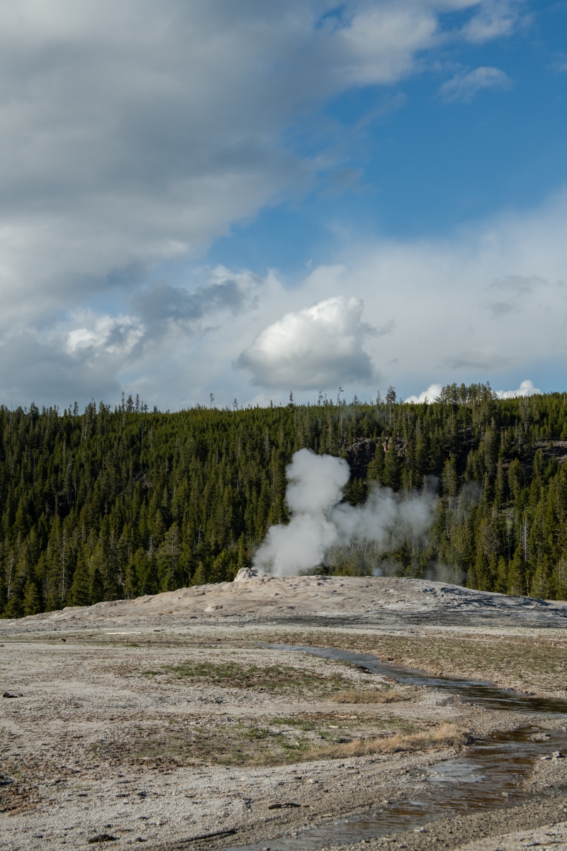 DSC_1975.jpg
