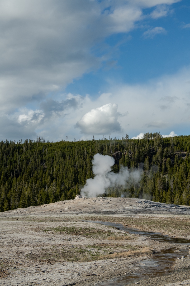 DSC_1976.jpg