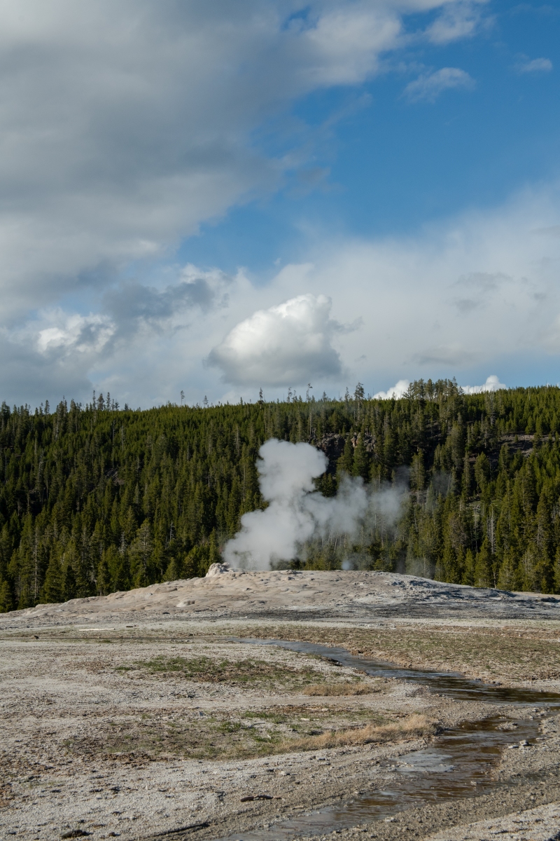 DSC_1977.jpg