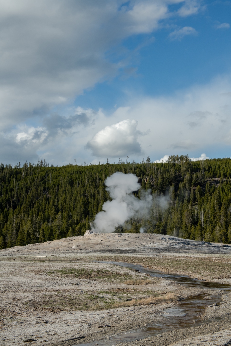 DSC_1978.jpg