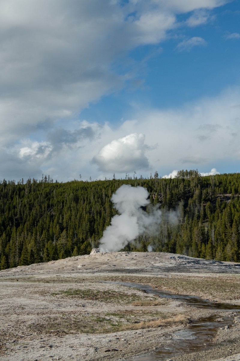 DSC_1980.jpg