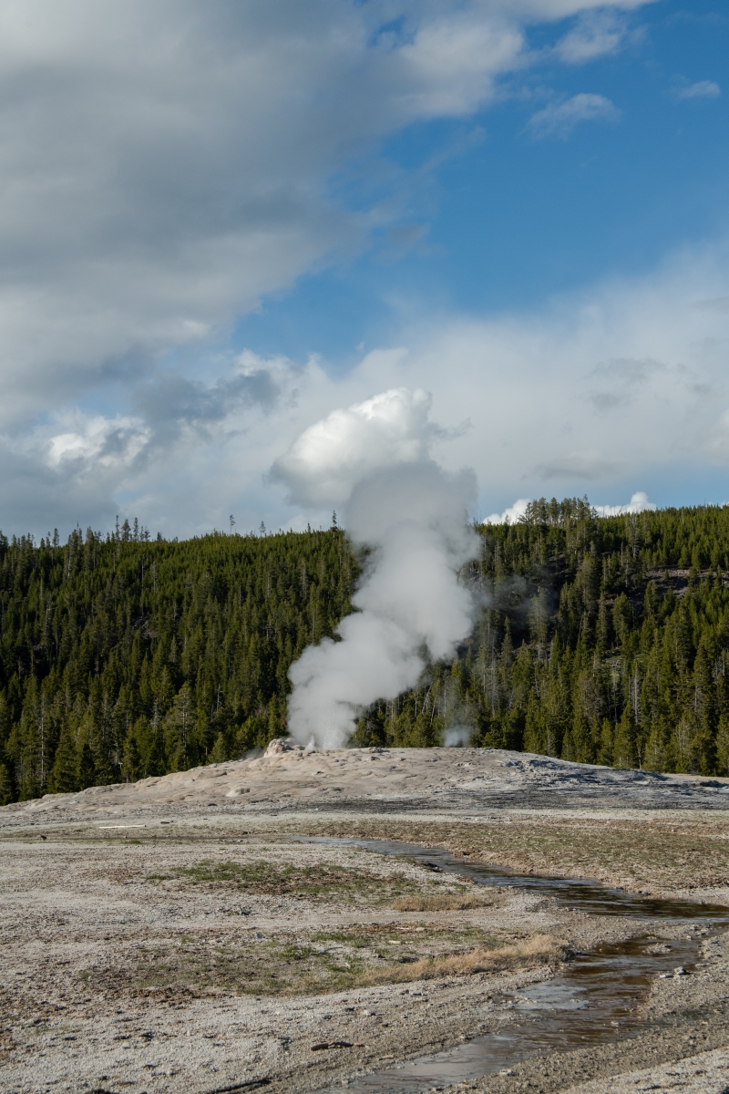 DSC_1982.jpg