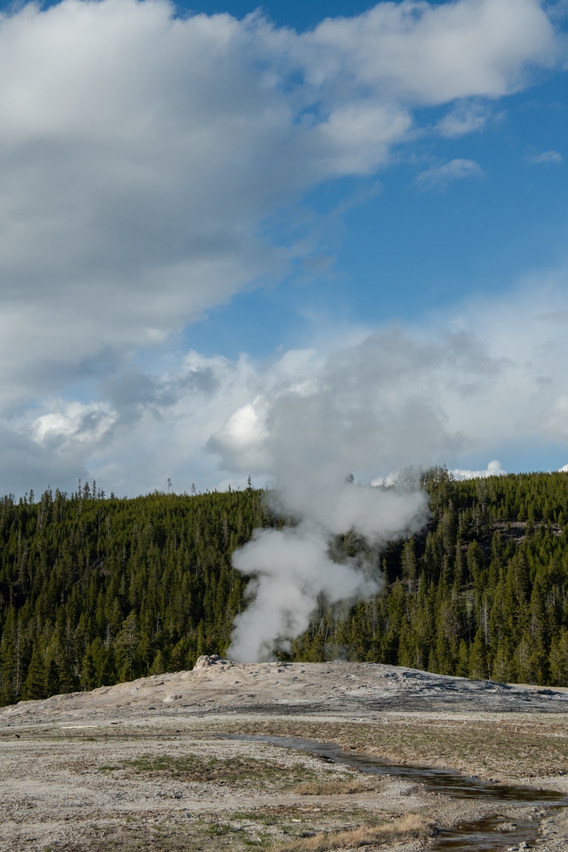 DSC_1983.jpg