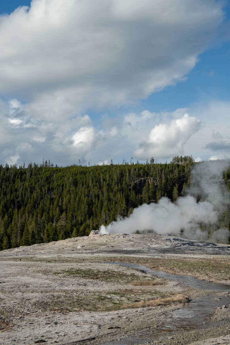 DSC_1985.jpg