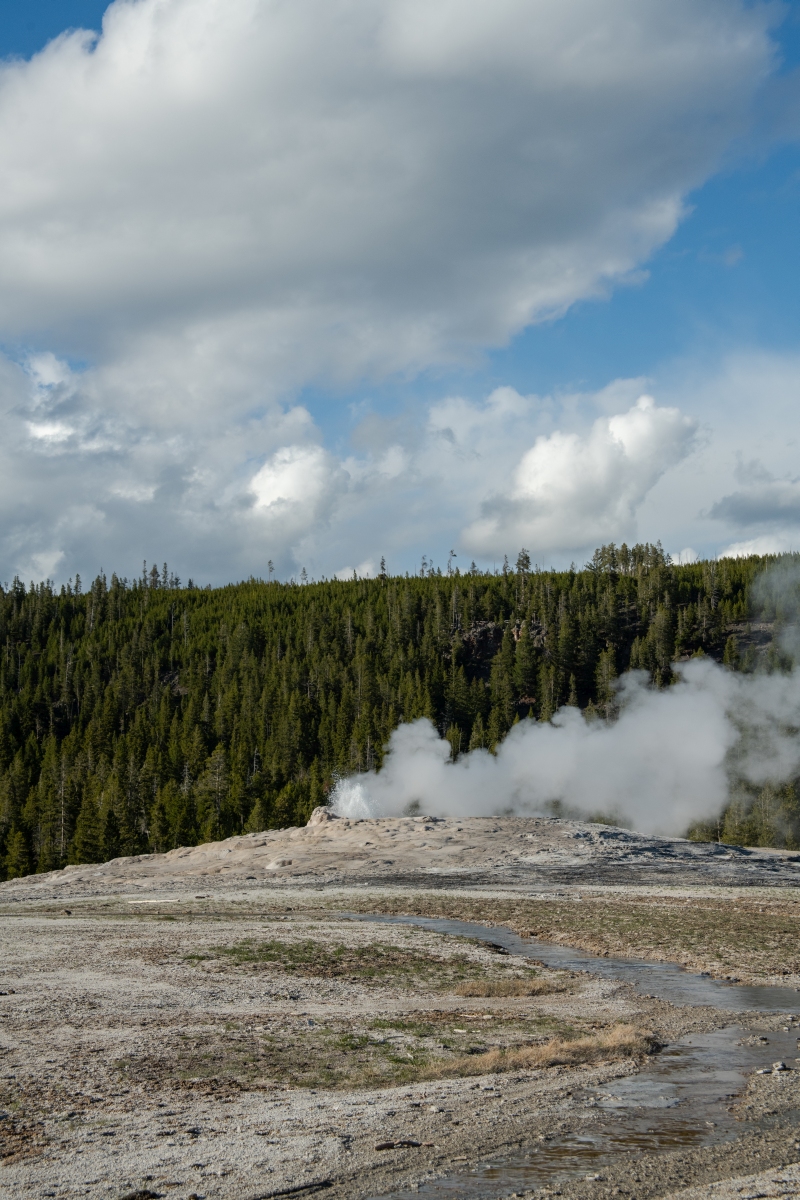 DSC_1987.jpg