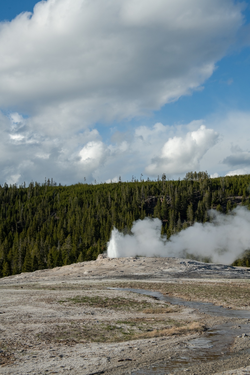 DSC_1989.jpg