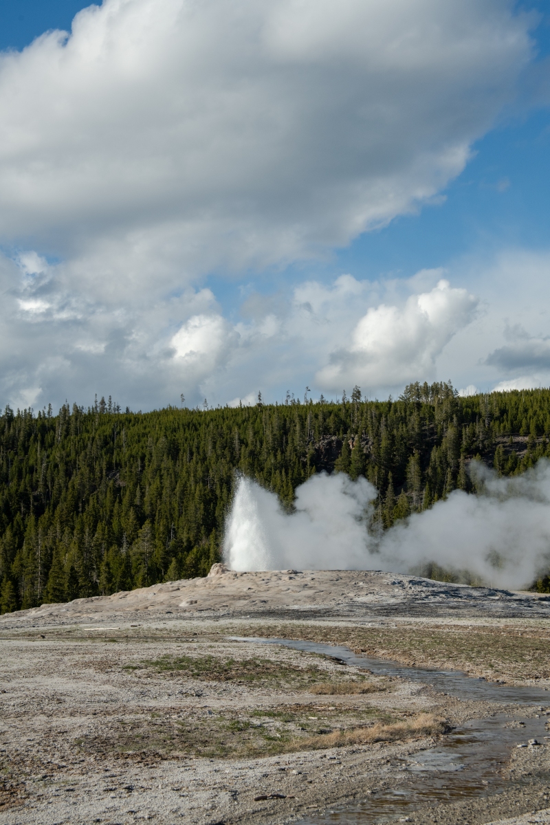 DSC_1992.jpg