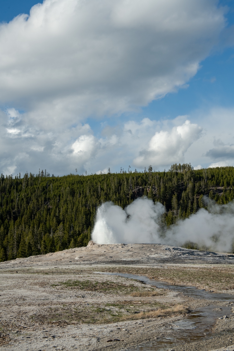 DSC_1994.jpg
