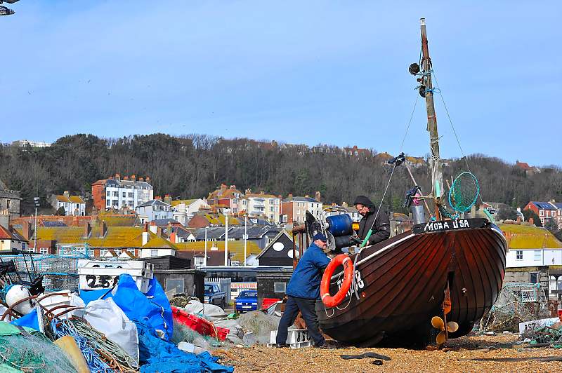 DSC_1995.jpg